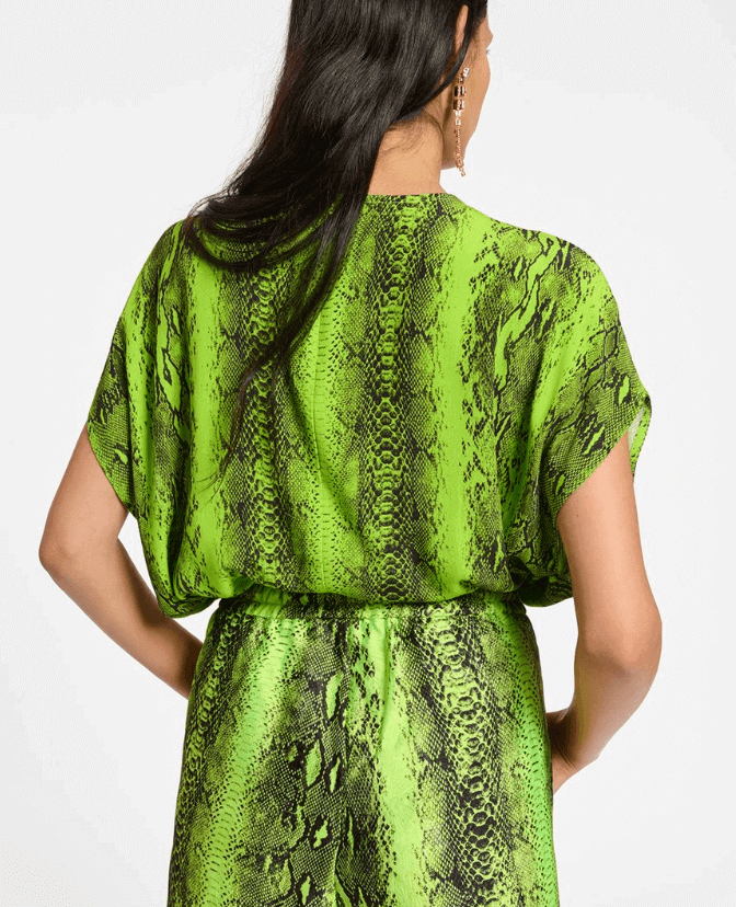 Dion Top - High Alert