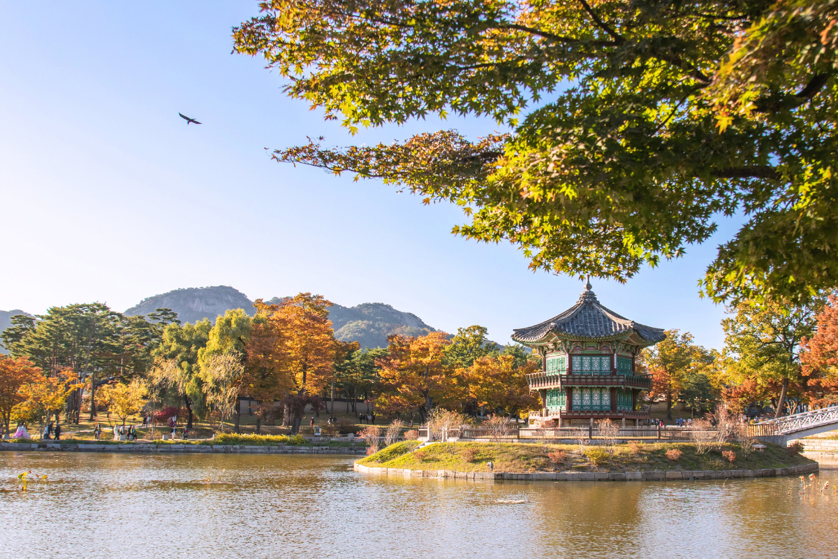 AiSPi City Guide: Seoul with Chandini Nayar